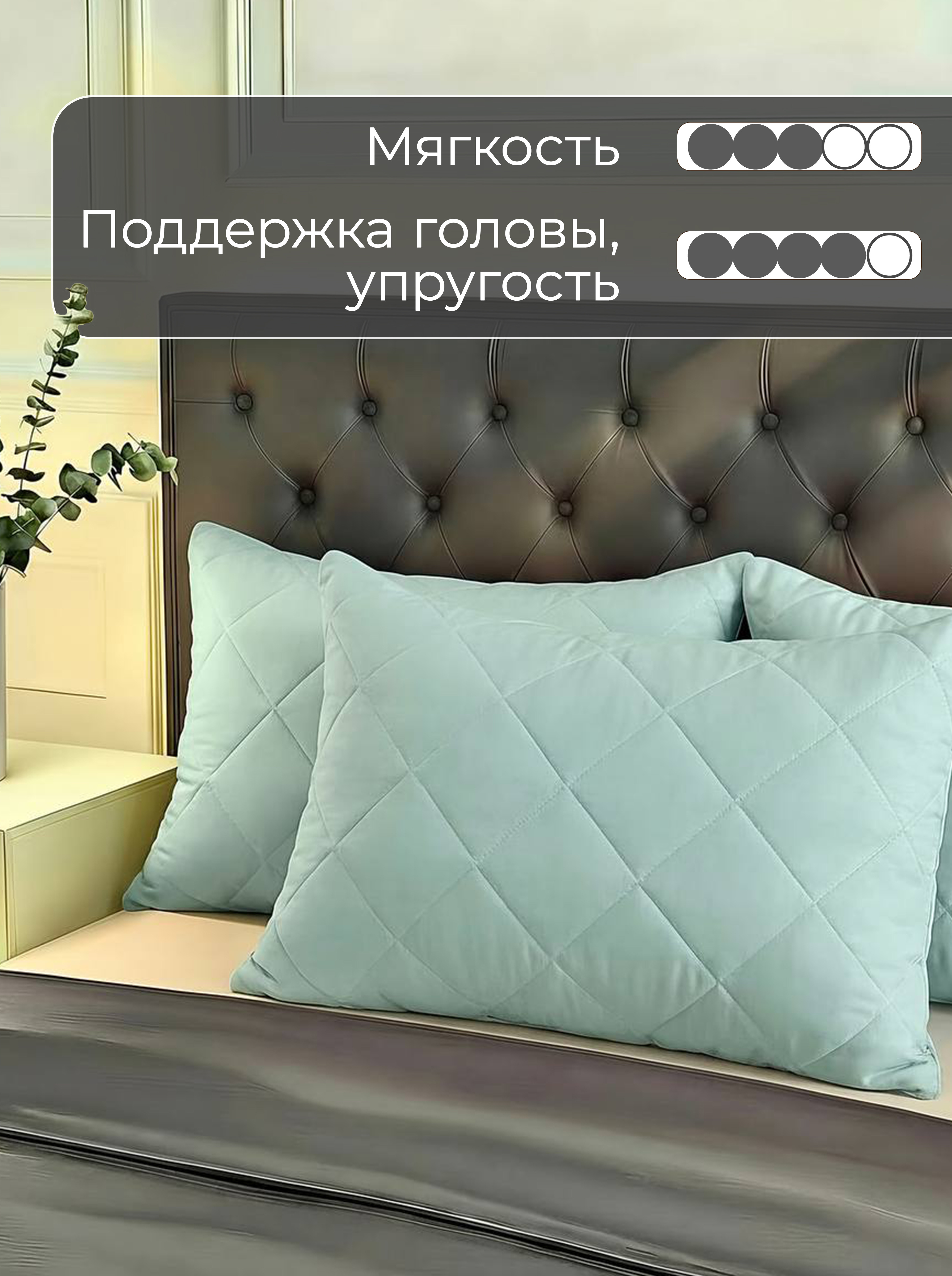 эвкалипт.jpeg эвкалипт.jpeg